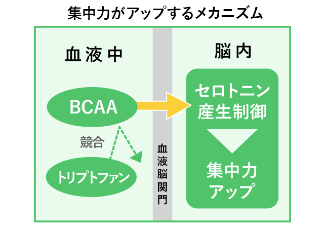 集中力がアップするメカニズム