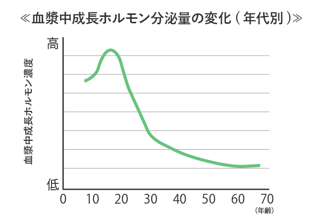 アルギニン 効果 筋トレ