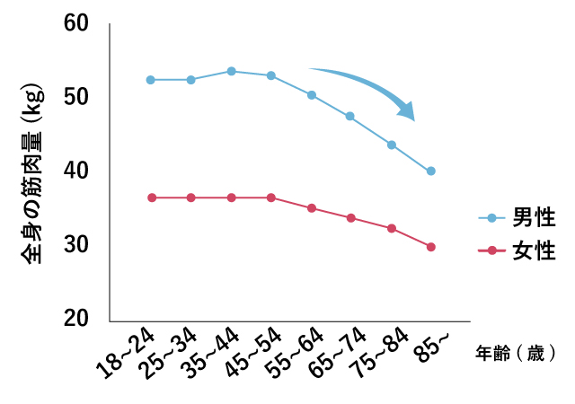 全身の筋肉量