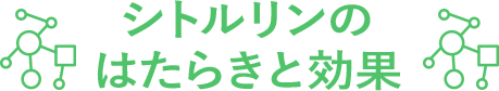 シトルリンのはたらきと効果