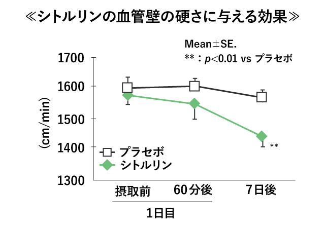 L-シトルリンの血管壁の硬さに与える効果