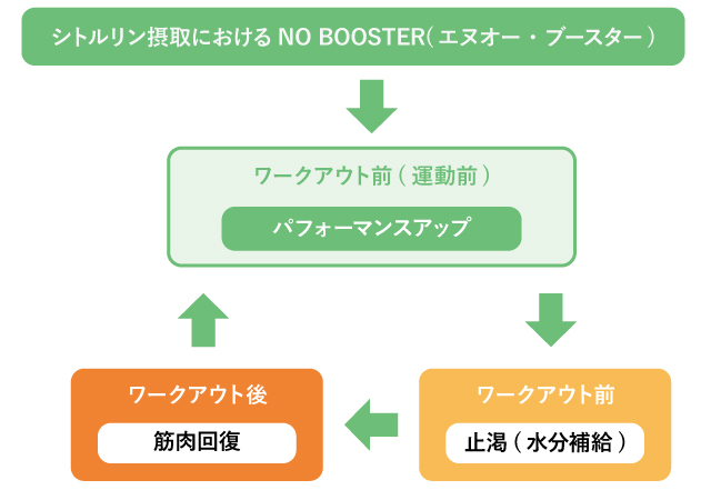 シトルリン摂取におけるNO　BOOSTER