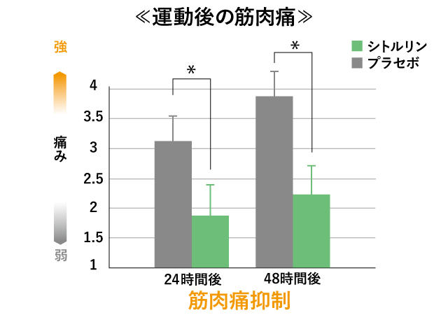 シトルリンのはたらきと効果 02 運動パフォーマンスアップ 協和発酵バイオの健康成分研究所