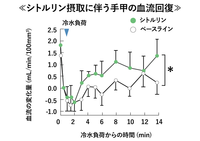 L-シトルリン摂取に伴う手甲の血流回復