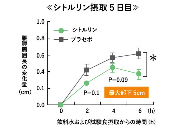 シトルリン摂取5日目