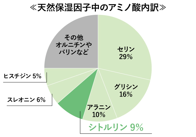 天然保湿因子のアミノ酸内訳