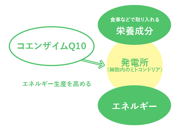 男性の勃起不全の丸薬オーストラリア