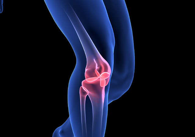 関節と骨のスムーズな動きをサポート、さらに関節の痛みを軽減