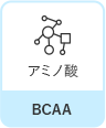 アミノ酸　BCAA